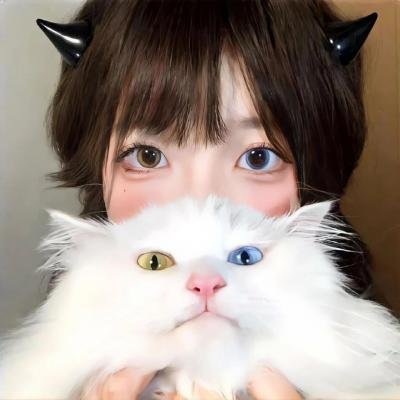 游说